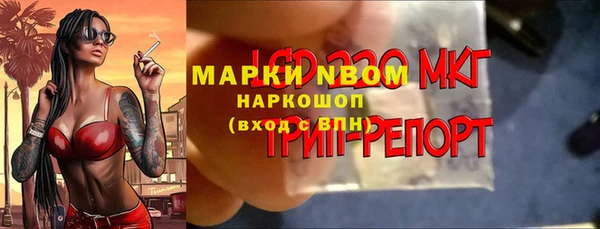 Альфа ПВП Бородино