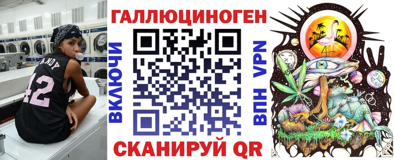 OMG Бийск Галлюциногенные грибы Psilocybe